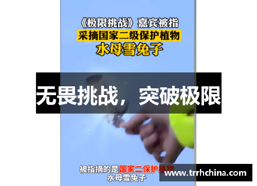 无畏挑战，突破极限